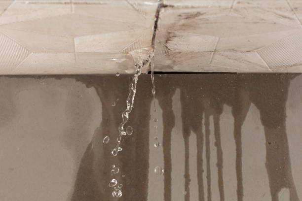 Professional Sewage Cleanup technician working in Ona, WV